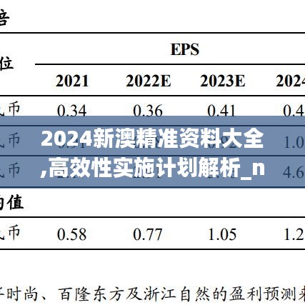 2024新澳精准资料大全,高效性实施计划解析_nShop57.467