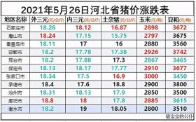 2024年12月21日 第23页