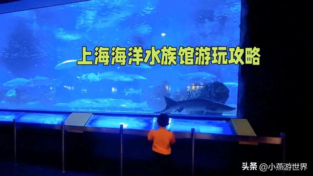 上海海洋水族馆游玩全攻略