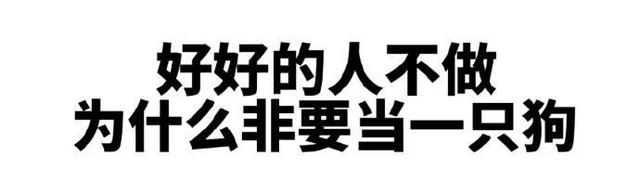 霸气侧漏，镇场怼人文案精选